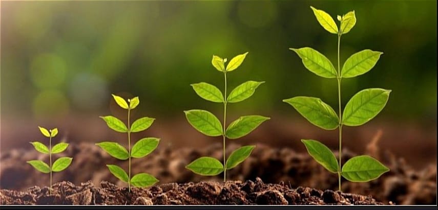 Lifelong Learning: The Key to Growth in Every Season of Life